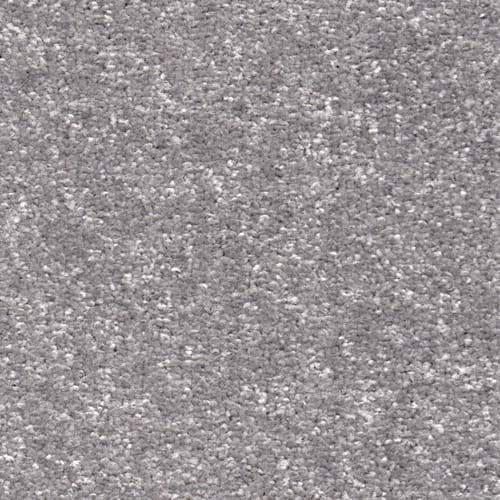 Alpine 2026 Silver Carpet