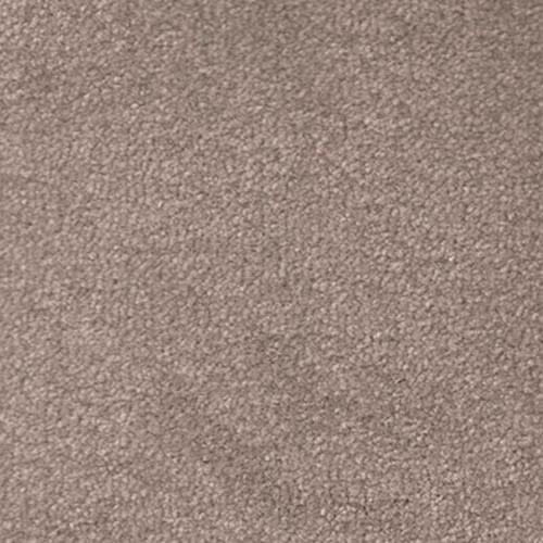 Navan 2017 Silver Carpet