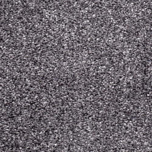 Cornwall Silver Carpet