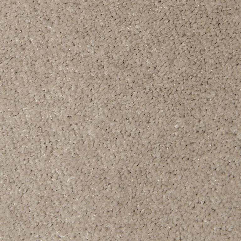 Causeway Carpets Soft Feelings Pumice 8614 Carpet