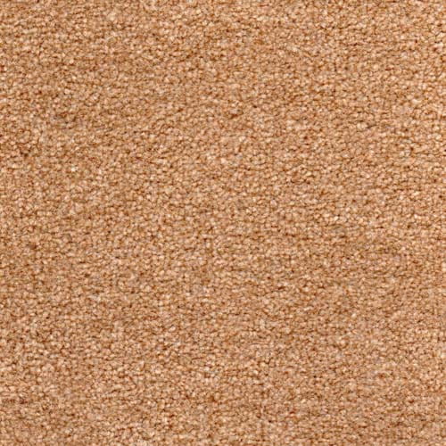 Tramore 2017 Spice Carpet