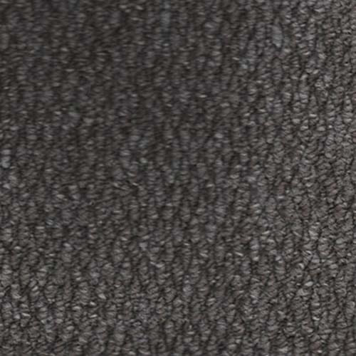 Regatta 2026 Steel Carpet