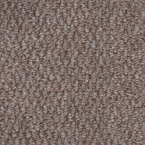 Regatta 2026 Stone Carpet