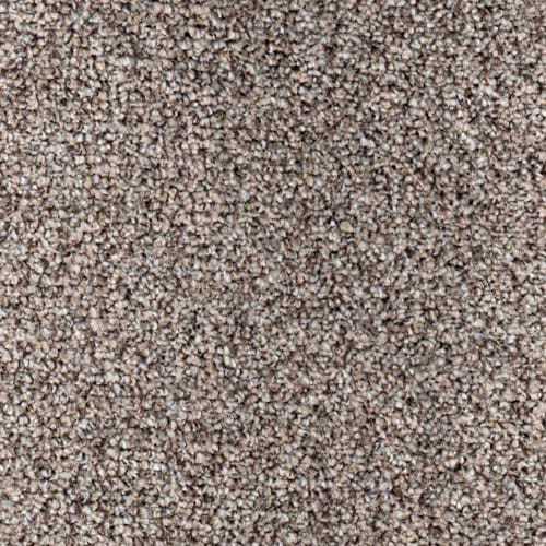 Modern Living Stone Carpet