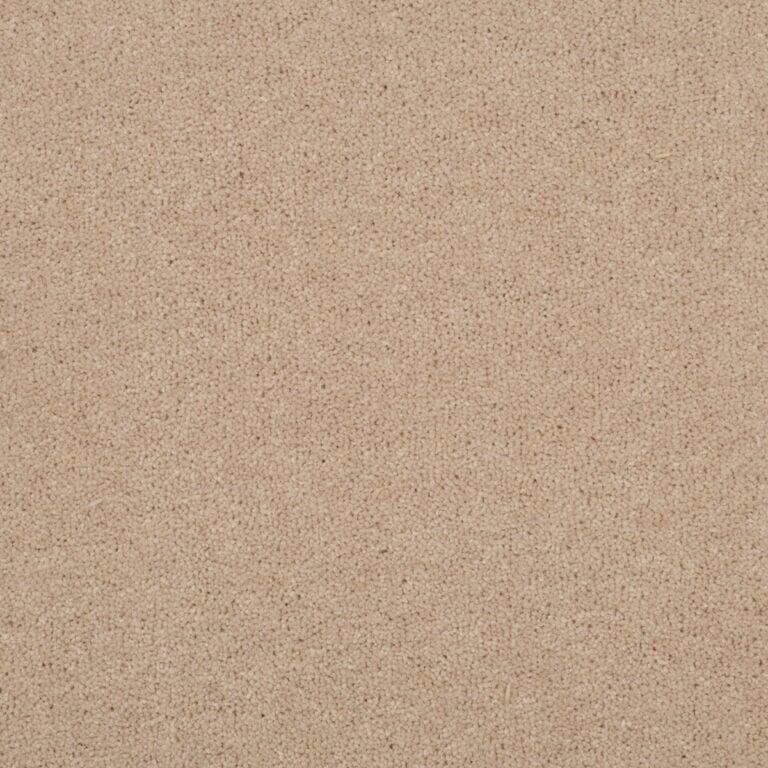 Penthouse Carpets Stratford 40oz Ariel Carpet