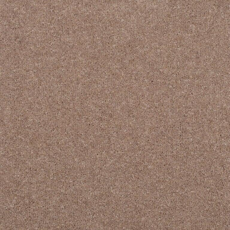 Penthouse Carpets Stratford 40oz Diana Carpet