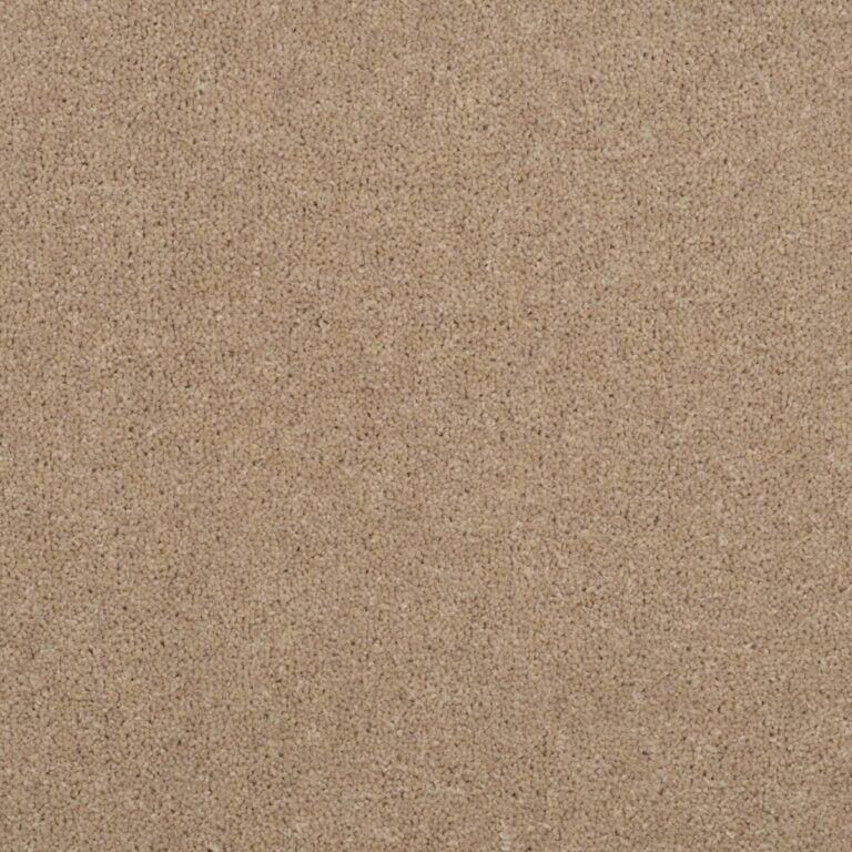 Penthouse Carpets Stratford 40oz Eros Carpet