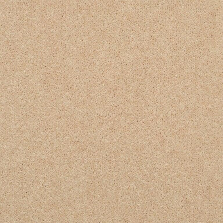 Penthouse Carpets Stratford 50oz Fabian Carpet