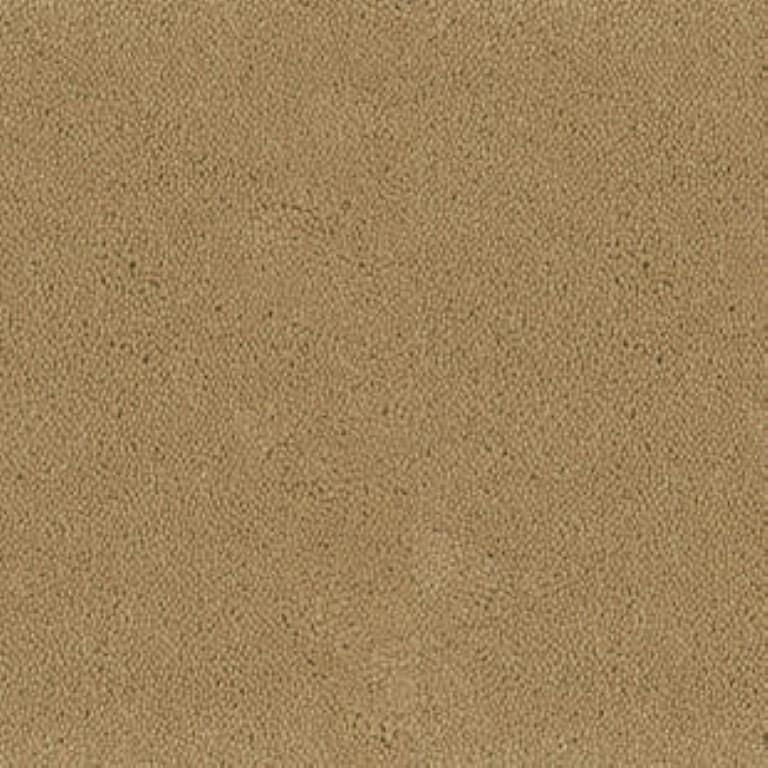Tarkett Asteranne A411 2045 Carpet