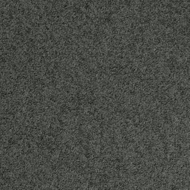 Tarkett Palatino A996 9970 Carpet