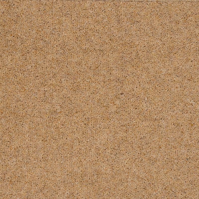 Penthouse Carpets Super Maxim 50oz Thatch Carpet