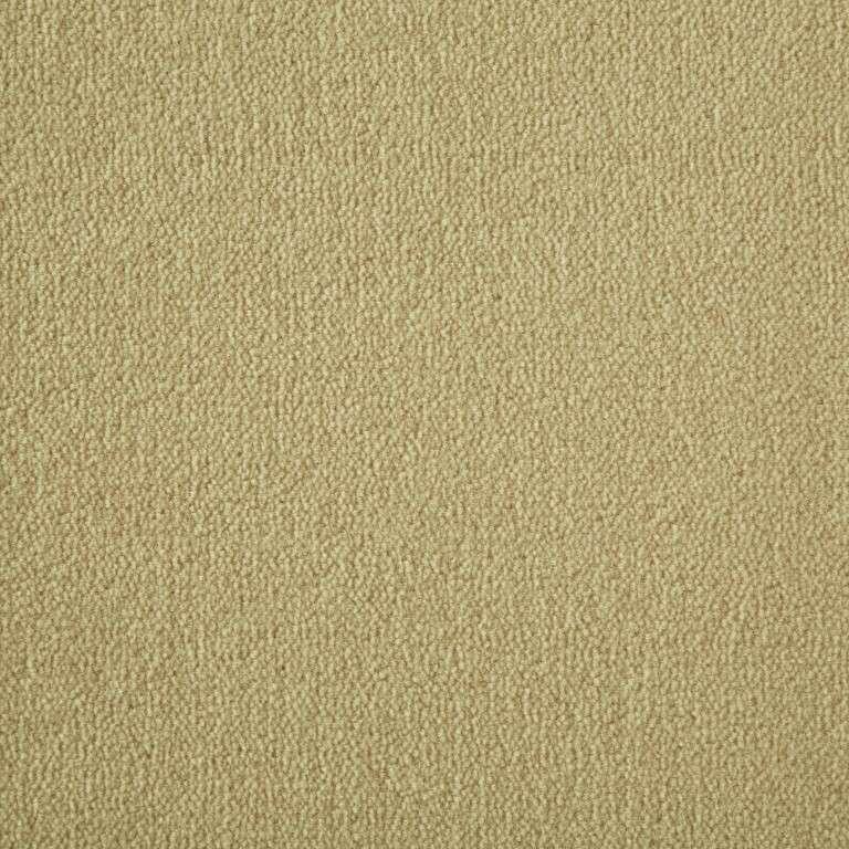Westex Westend Exquisite Velvet Cider Carpet
