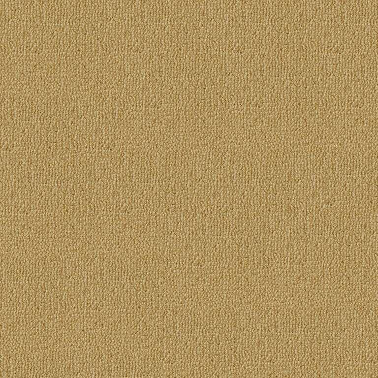 Westex Fired Earth Wiske Velvet Goldfinch Carpet