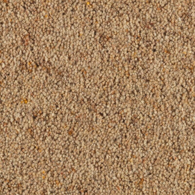 Penthouse Carpets Carlton 36oz Woodrush Carpet