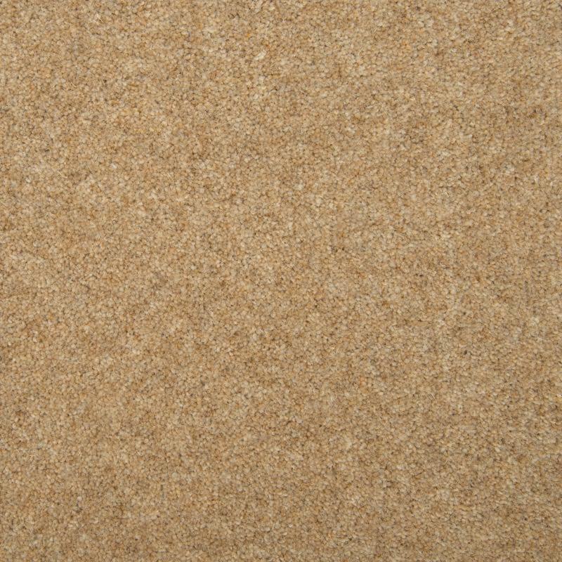 Penthouse Carpets Esprit Nouveau 50oz Wren Carpet