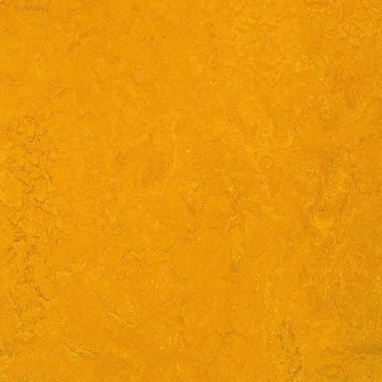 Forbo Marmoleum Fresco 2mm 3125 Golden Sunset Commercial Flooring