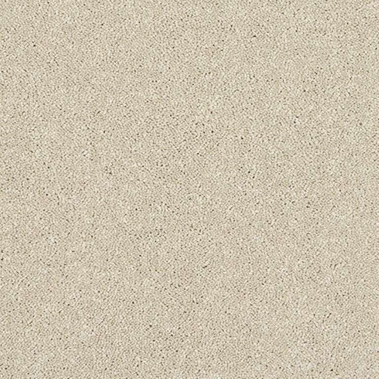 Abingdon Stainfree Finesse Cotton Carpet