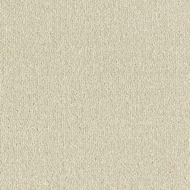 Abingdon Stainfree Arena Plus Dove Grey Carpet
