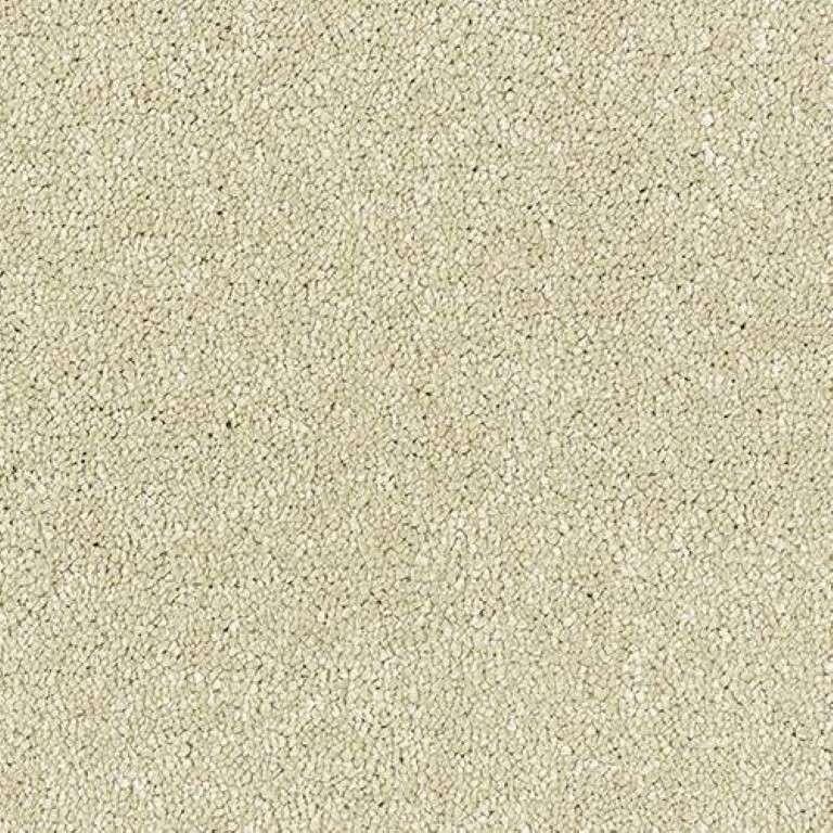 Abingdon Stainfree Satin Touch Cotton Carpet