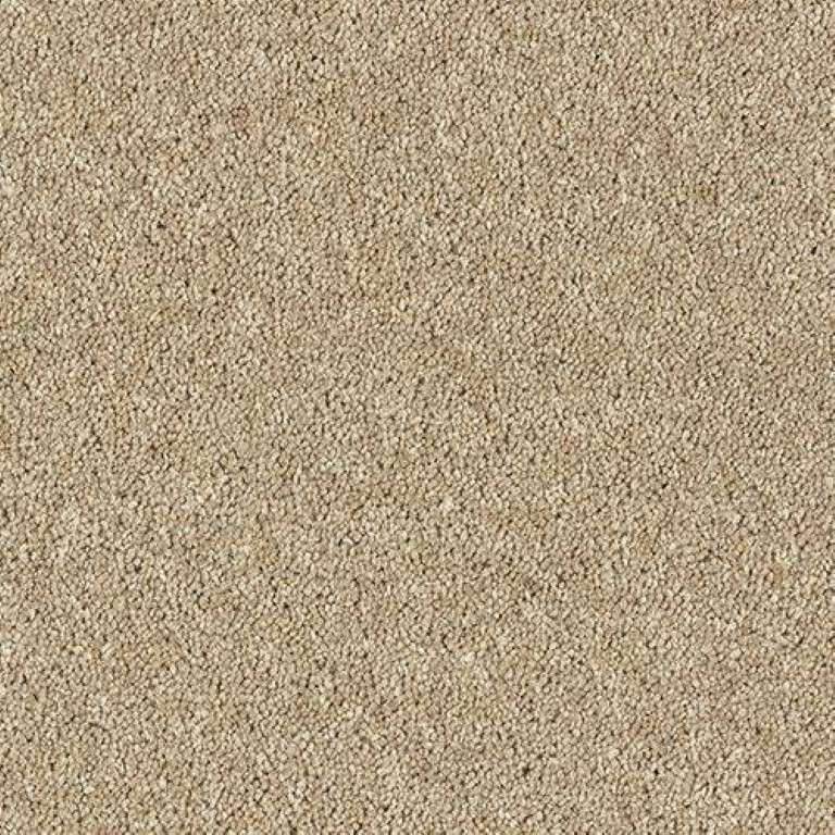 Abingdon Wilton Royal Royal Charter Deluxe Moccasin Carpet