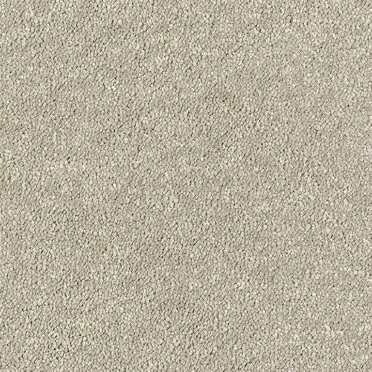 Abingdon Stainfree Sophisticat Mink Carpet