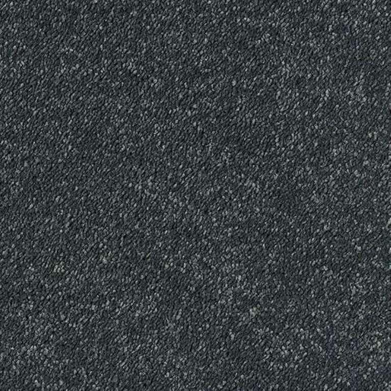 Abingdon Stainfree Sophisticat Ebony Carpet