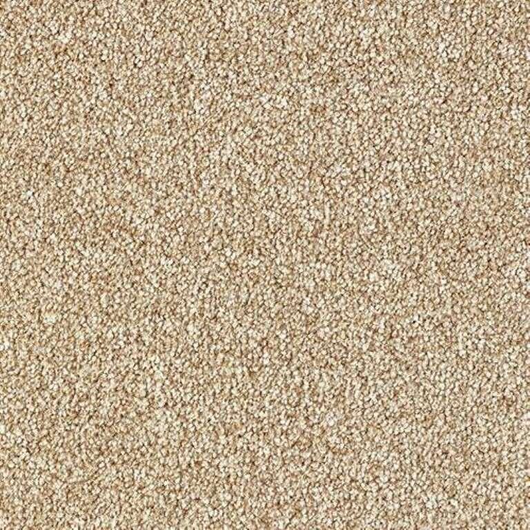 Abingdon Stainfree Rustique Saxony Thatched Roof Carpet