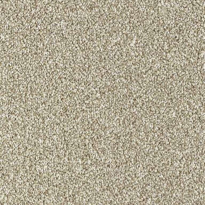 Abingdon Stainfree Rustique Saxony Country Life Carpet
