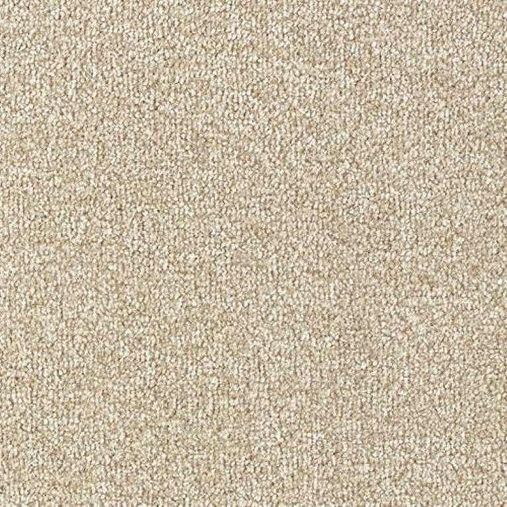 Abingdon Stainfree Rustique Saxony Urban Chic Carpet