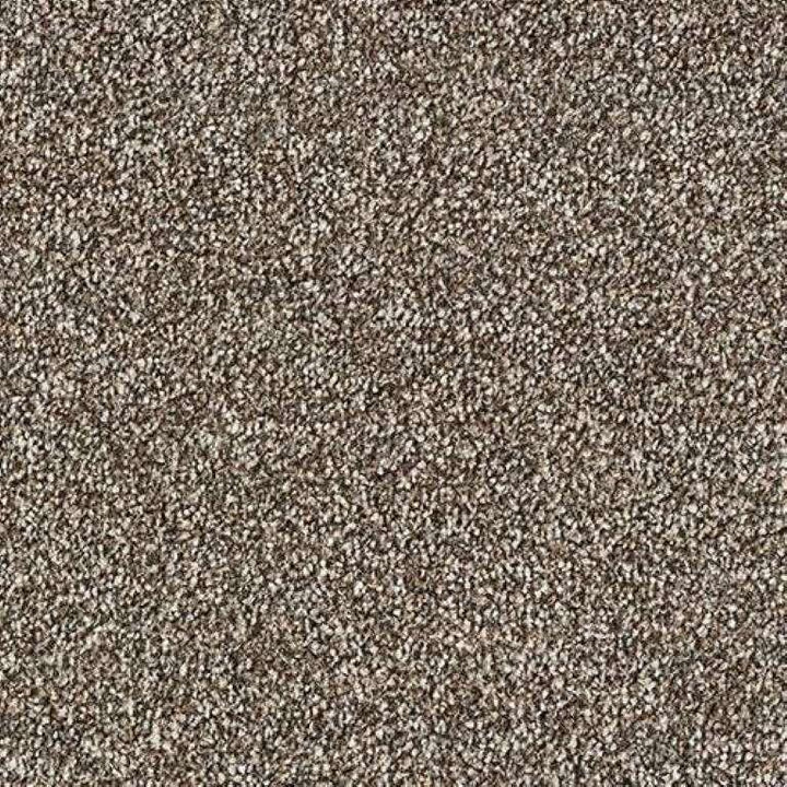 Abingdon Stainfree Rustique Saxony Chocolate Box Carpet