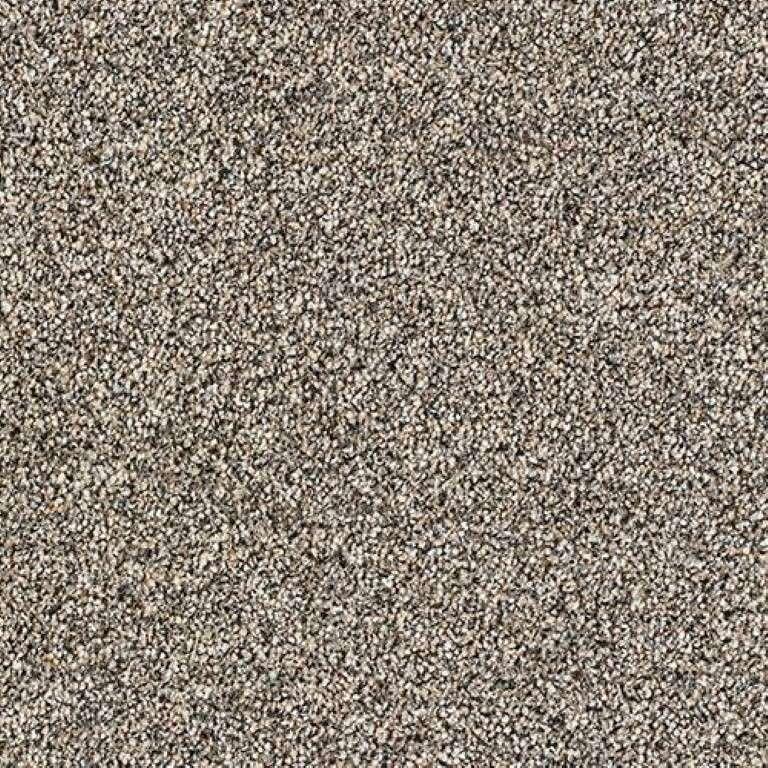 Abingdon Stainfree Rustique Saxony Walnut Carpet