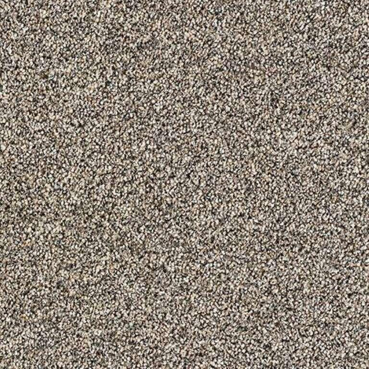 Abingdon Stainfree Rustique Saxony Walnut Carpet