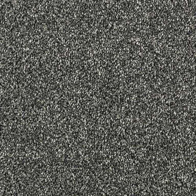 Abingdon Stainfree Country Life Ash Grove Carpet
