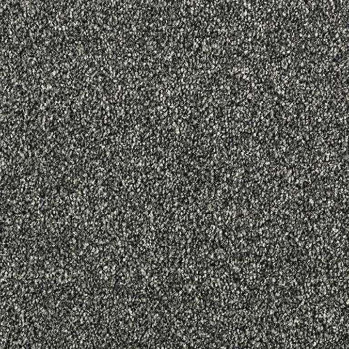 Abingdon Stainfree Rustique Saxony Ash Grove Carpet