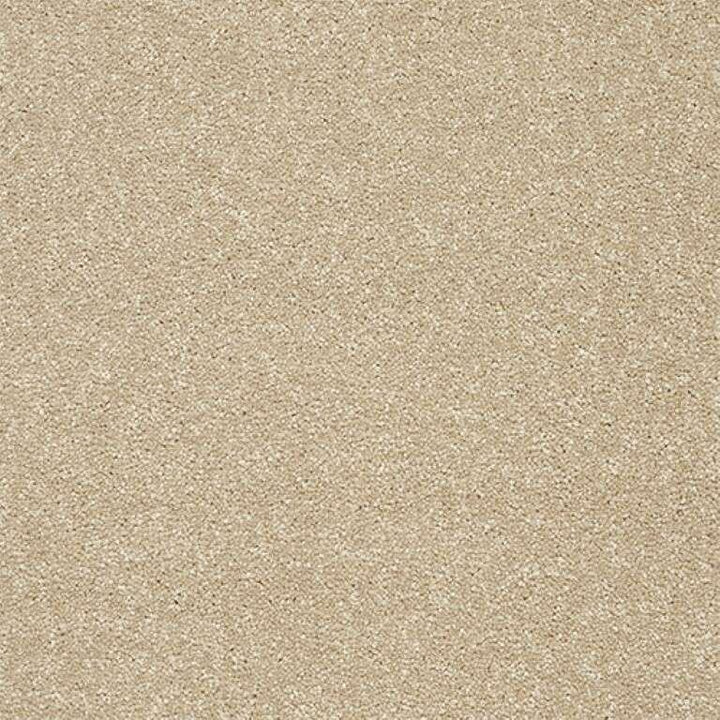 Abingdon Stainfree Twist Twisted Cotton Carpet