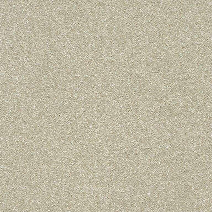 Abingdon Stainfree Twist Dove Carpet