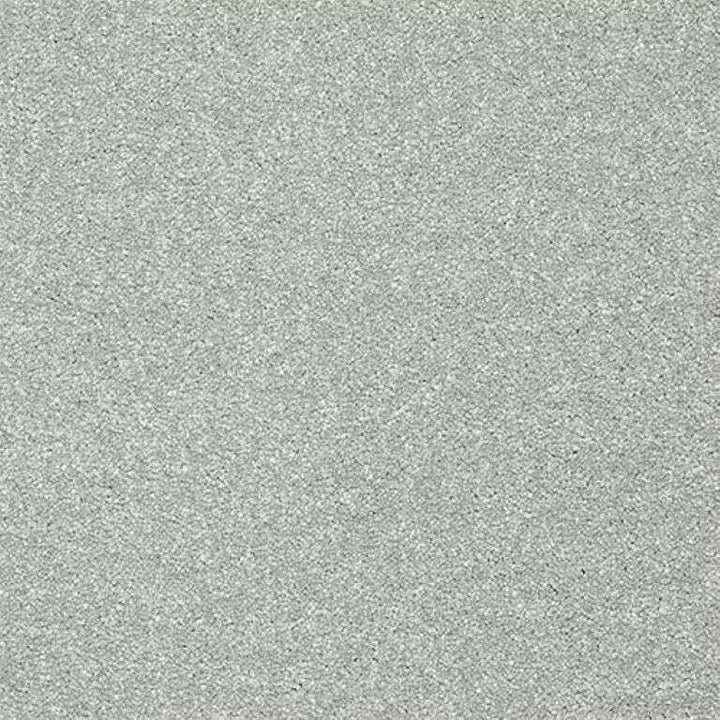 Abingdon Stainfree Twist Smoke Carpet