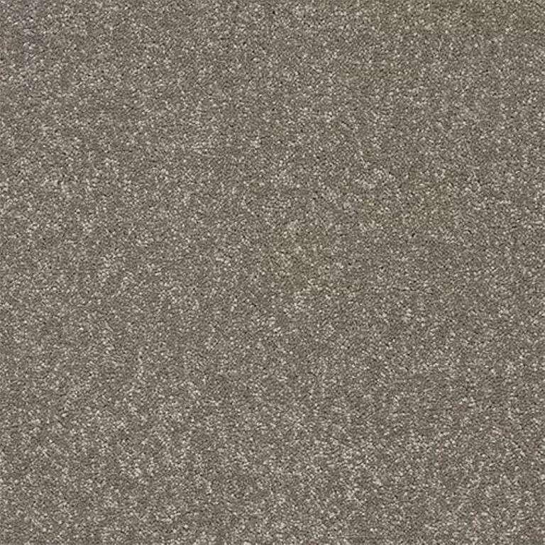 Abingdon Stainfree Twist Velvet Crush Carpet