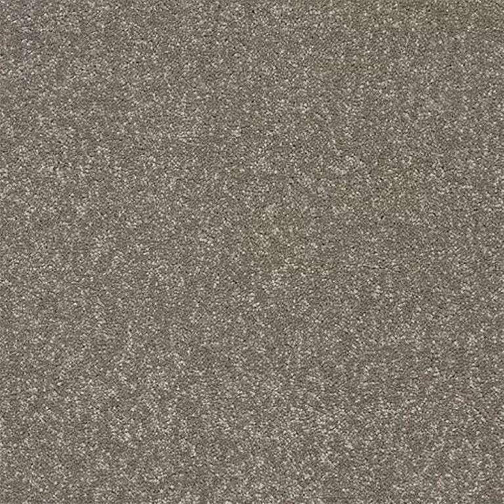 Abingdon Stainfree Twist Velvet Crush Carpet
