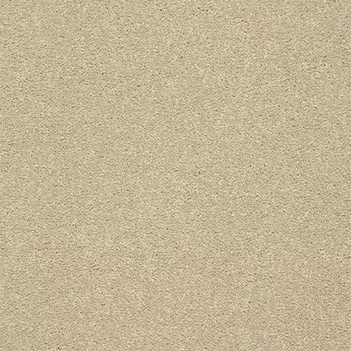 Abingdon Stainfree Twist Timeless Carpet