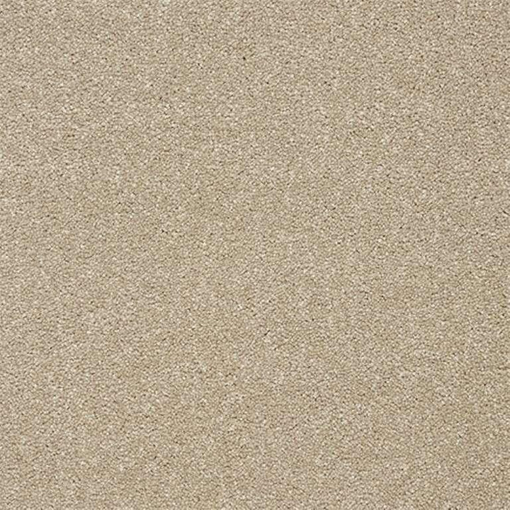 Abingdon Stainfree Twist Dark Ecru Carpet