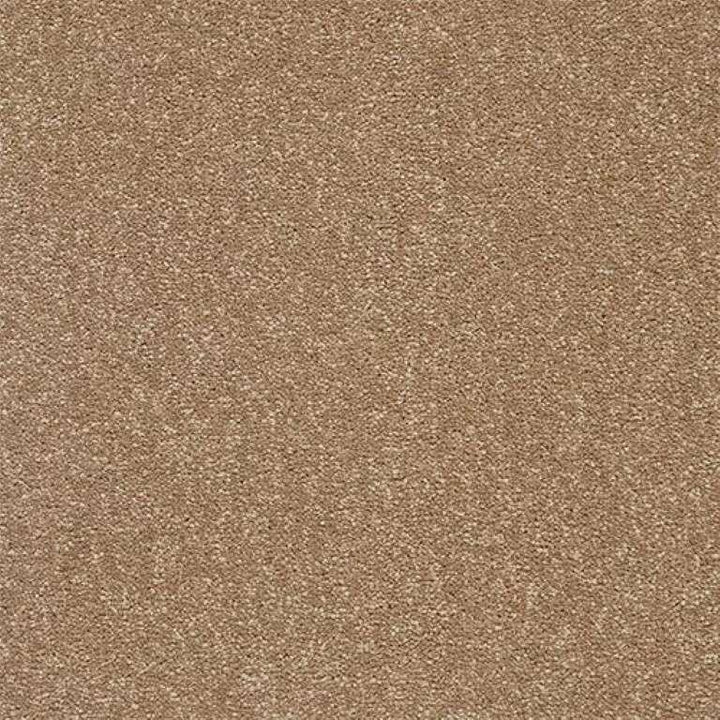 Abingdon Stainfree Twist Mocha Carpet