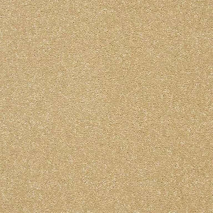 Abingdon Stainfree Twist Honey Gold Carpet