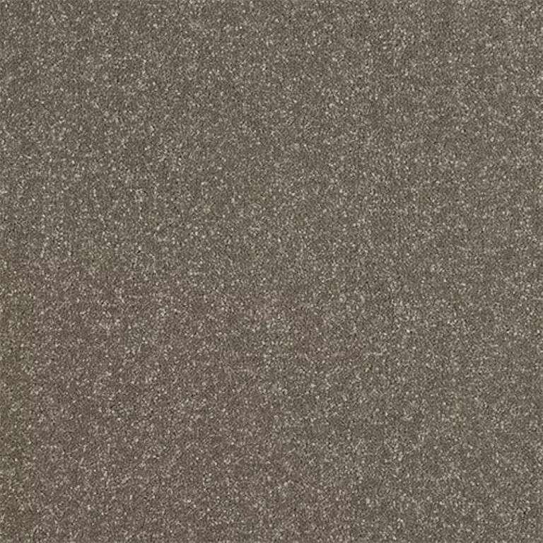 Abingdon Stainfree Ultra 09 Dolomite Carpet