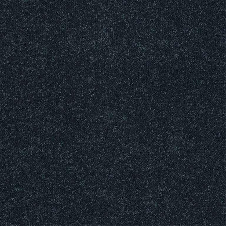 Abingdon Stainfree Ultra 24 Wedgewood Carpet