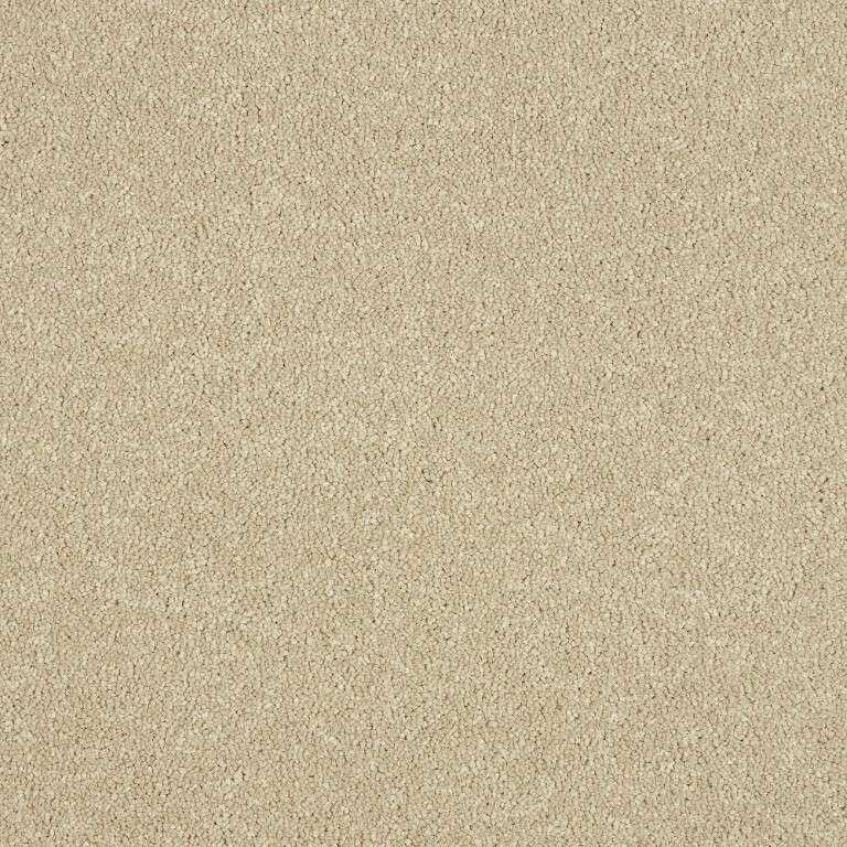 Abingdon Stainfree Maximus Timeless Carpet