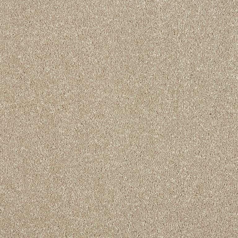 Abingdon Stainfree Maximus Dark Ecru Carpet