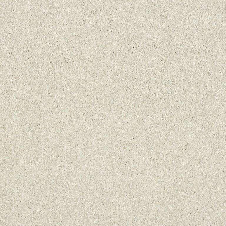 Abingdon Stainfree Maximus Stone White Carpet