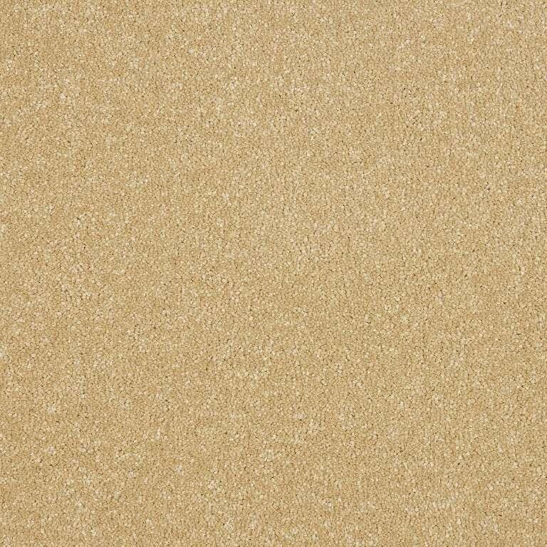 Abingdon Stainfree Maximus Honey Gold Carpet
