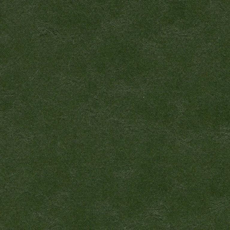 Forbo Marmoleum Walton 2.5mm 3359 Bottle Green Commercial Flooring